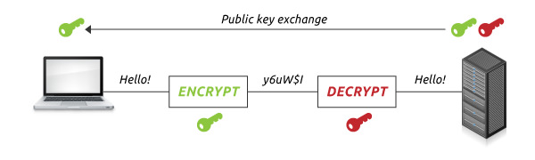 SSL Communication Secure Server-Client Communication via HTTPS
